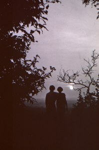 5 Silhouette for wedding invitation