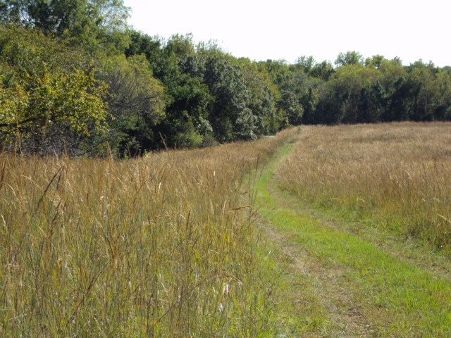 Driveway through the tall grass prairie