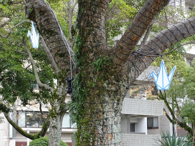 Peace cranes in the trees