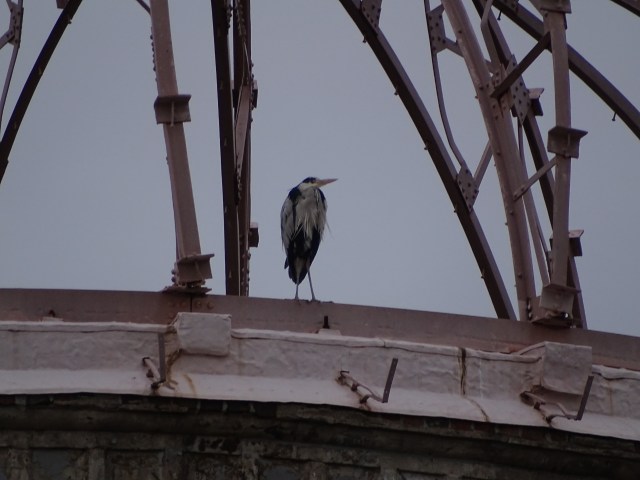 Peace, where art thou?